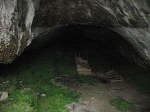 Archivo:014 Cueva de Arenaza (2)