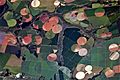 Agricultural Fields near Perdizes, Minas Gerais, Brazil