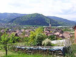 BlickaufGunsbach.JPG