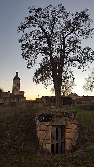 Archivo:Bodega e iglesia de San Andrés