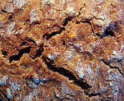 Archivo:Brown bread crust