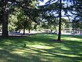 Burlingame Washington Park