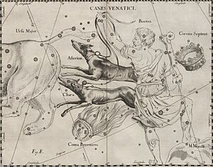 Archivo:Canes Venatici - Prodromus astronomiae 1690 (5590250)