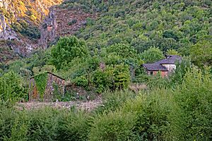 Archivo:Casas y huerto en Aguiar
