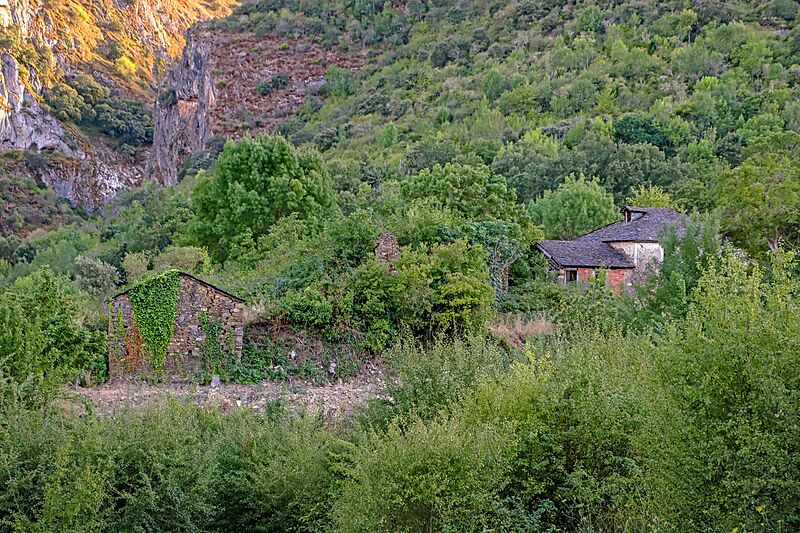 Casas y huerto en Aguiar