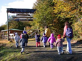 Children entering Omora Ethnobotanical Park.jpg
