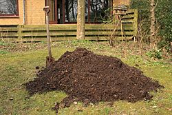 Archivo:Compost-heap