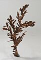 Copper-t5114a
