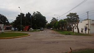 Archivo:Cortines 15