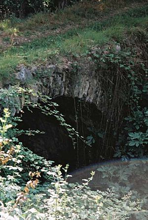 Archivo:ESTAMARIU PONT MOLÍ ABG