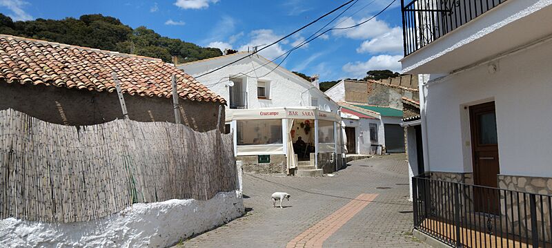 El Cerezo. Mayo 2025