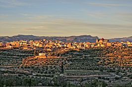 Vista de Masroig