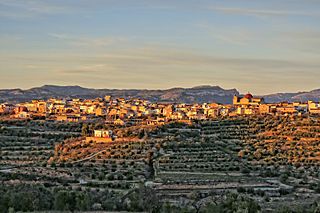 El Masroig.jpg