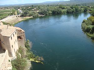 Archivo:El río Ebro a su paso por Miravet
