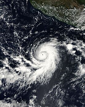 Hurricane Sergio 15 nov 2006 1725Z.jpg