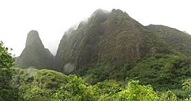 Iao State Park Maui - Flickr - Joe Parks.jpg