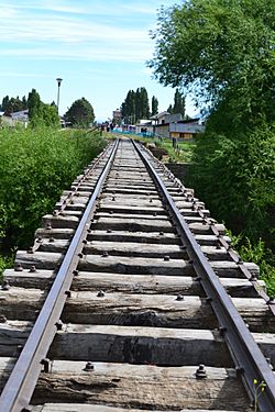 Archivo:In the railroad - panoramio