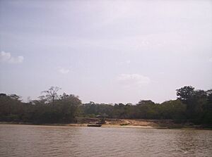 Archivo:Isla de Anacoco caño Brazo Negro del río Cuyuní