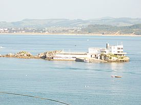 Isla de la Torre (bahía de Santandé).jpg