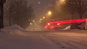 Archivo:January 2019 Toronto snowstorm