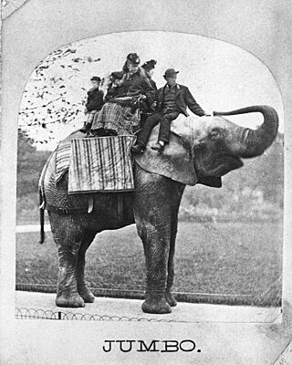 Jumbo with riders.jpg