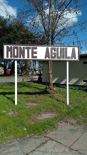 Archivo:Letrero Estación Monte Águila