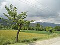 Malakand division