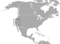 Mount Lyell Shrew area