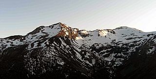 Nevado must.jpg