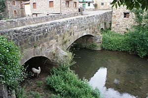 Archivo:Puente de La Sota de Valderrueda sobre río Cea. 02