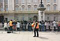 Queue to view the official announcement of the birth of Princess Charlotte
