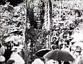 Quirigua4