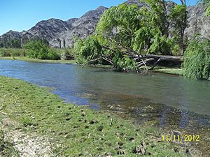 Archivo:Río Castaño en Villacorral