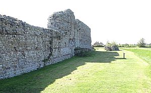 Archivo:Richborough Roman Fort west wall 02