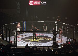 Archivo:Strikeforce cage 2011-01-07