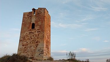 Torre del jaral (1)