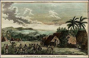 Archivo:An Inland View in Atooi, One of the Sandwich Islands (1785)