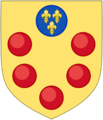 Augmented Arms of Medici