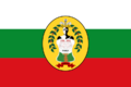 Bandera de Pandi - Cundinamarca