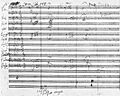 BeethovenSinfonia5autografo