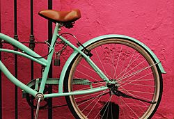 Archivo:Bicicleta estilo clásico