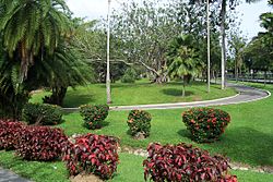 Archivo:Botanic Gardens Trinidad 2006-03-22
