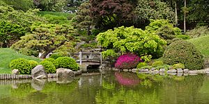 Archivo:Brooklyn Botanic Garden New York May 2015 panorama 2