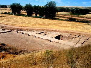 Archivo:Buniel 1