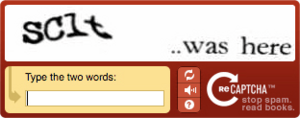 Archivo:Captchacat