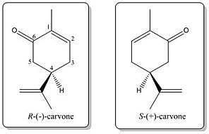 Archivo:Carvone-enantiomers1