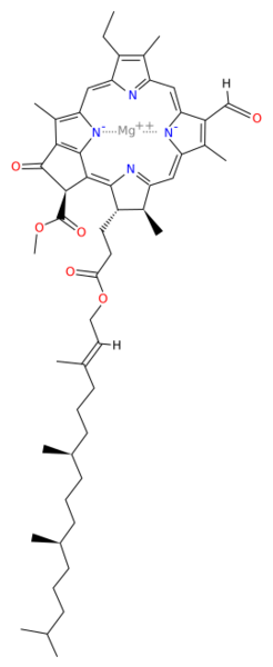 Chlorophyll d