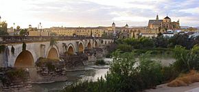 Archivo:Cordoba, Roman Bridge and Mosque-Cathedral