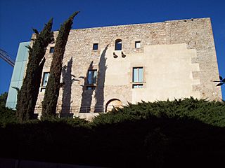 Cornella Castillo 2.jpg