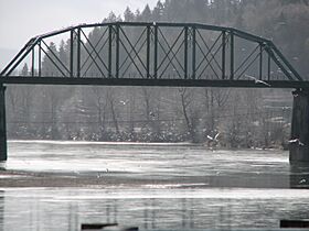 Cowlitz River During Smelt Run.jpg